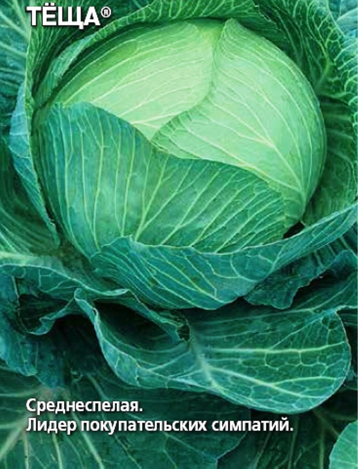 Купить Капусту С Доставкой На Дом