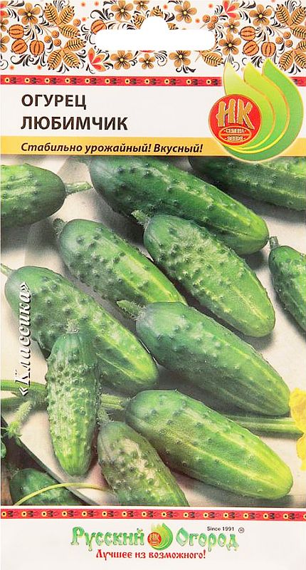 

огурец любимчик семена, огурец любимчик семена купить