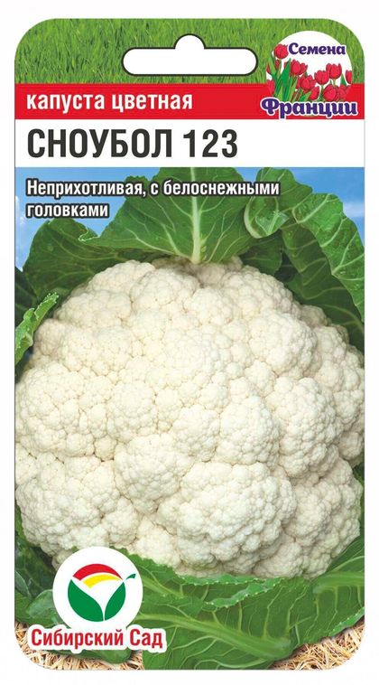 

капуста цветная сноуболл 123 семена, капуста цветная сноуболл 123 семена купить