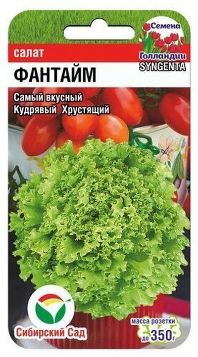 Салат Фантайм