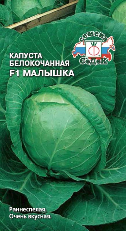 

капуста б/к f1 малышка семена, капуста б/к f1 малышка семена купить