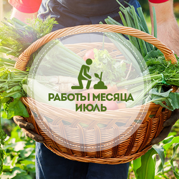 Работы месяца - июль