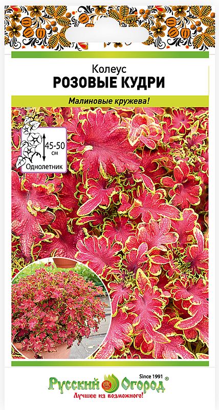 

колеус розовые кудри семена, колеус розовые кудри семена купить