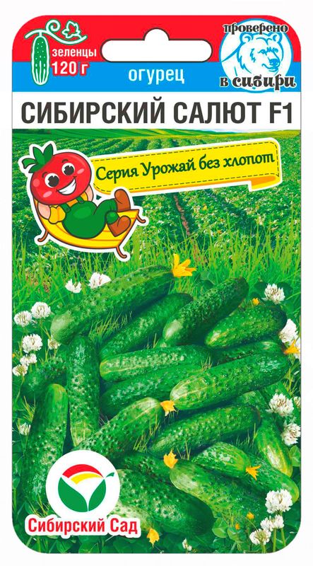 

огурец сибирский салют семена, огурец сибирский салют семена купить