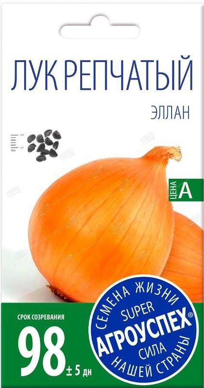 

лук репчатый эллан семена, лук репчатый эллан семена купить