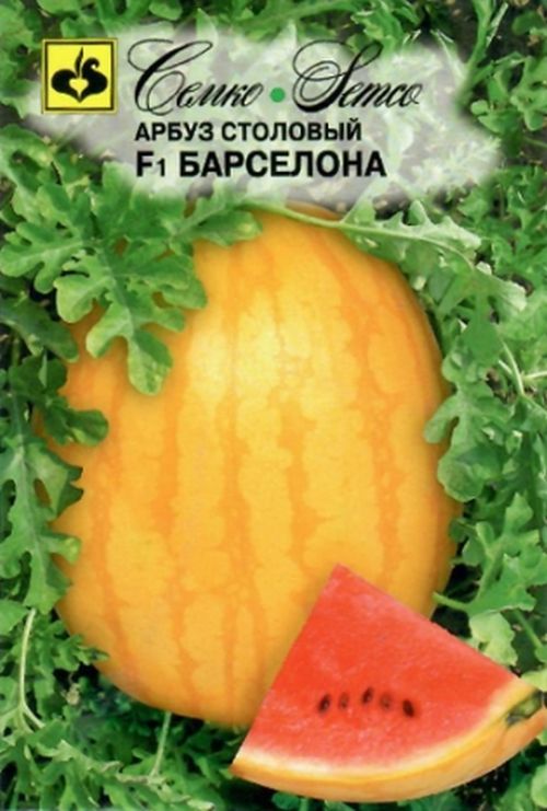 Арбуз Барселона F1