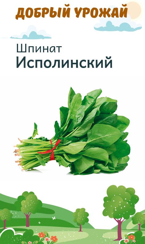 Шпинат Исполинский