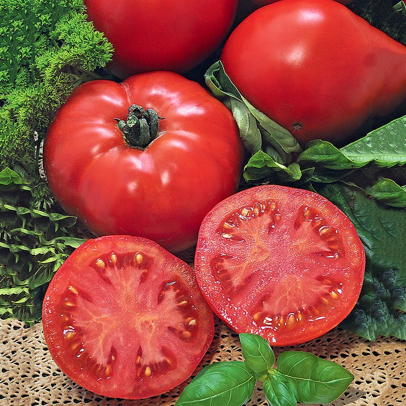 томат райское наслаждение отзывы. сорт томатов райское наслаждение. томат f1 наслаждение. томат розовая андромеда. томат райское наслаждение, 0,1 г.