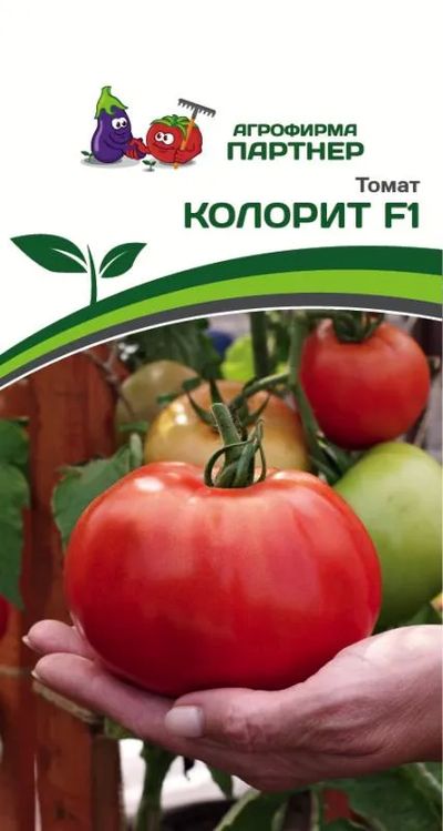 

томат колорит f1 семена, томат колорит f1 семена купить