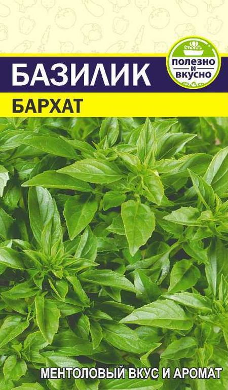 

базилик бархат семена, базилик бархат семена купить