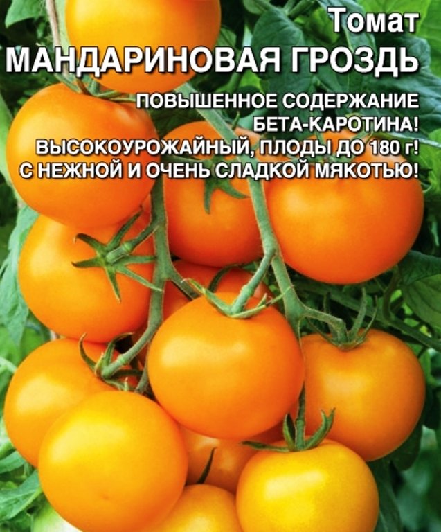

томат мандариновая гроздь семена, томат мандариновая гроздь семена купить