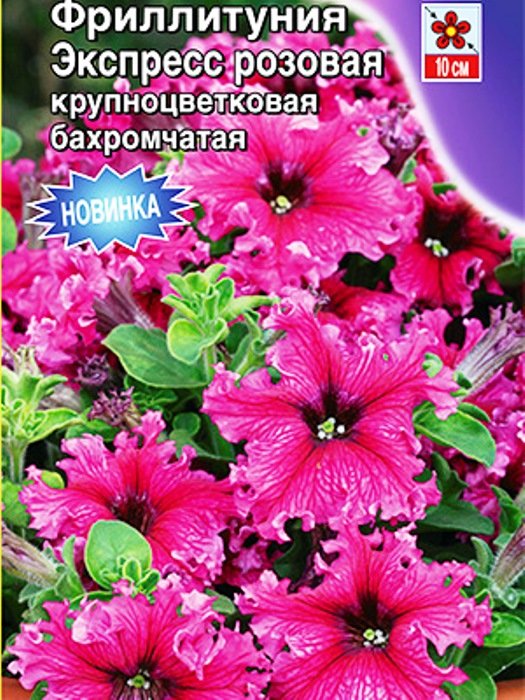 

фриллитуния экспресс розовая семена, фриллитуния экспресс розовая семена купить