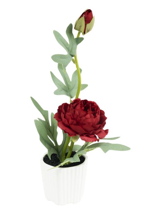 Декоративный цветок Страстная Роза в кашпо из керамики