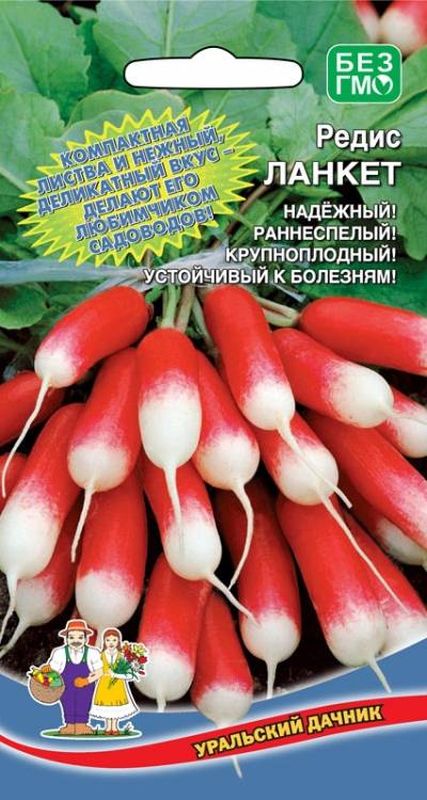 

редис ланкет семена, редис ланкет семена купить