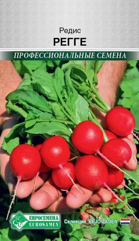 

редис регге семена, редис регге семена купить