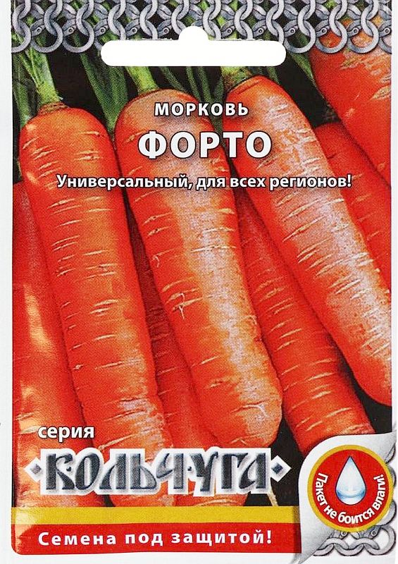 

морковь форто "кольчуга new" семена, морковь форто "кольчуга new" семена купить