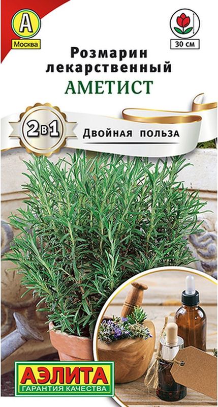 

розмарин аметист семена, розмарин аметист семена купить