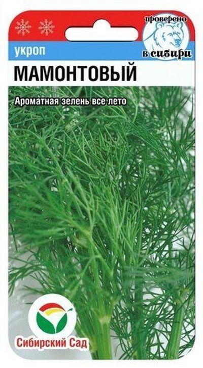 Укроп Мамонтовый