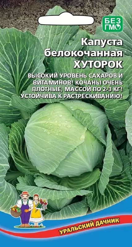 

капуста б/к хуторок семена, капуста б/к хуторок семена купить