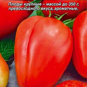 Томат Сердце красавицы®