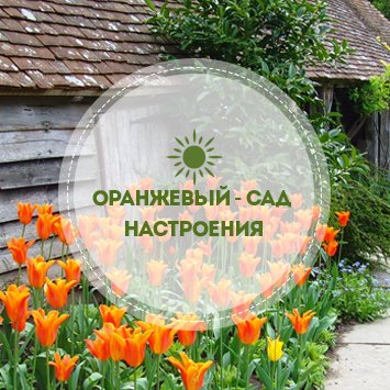 Оранжевый: сад настроения! 