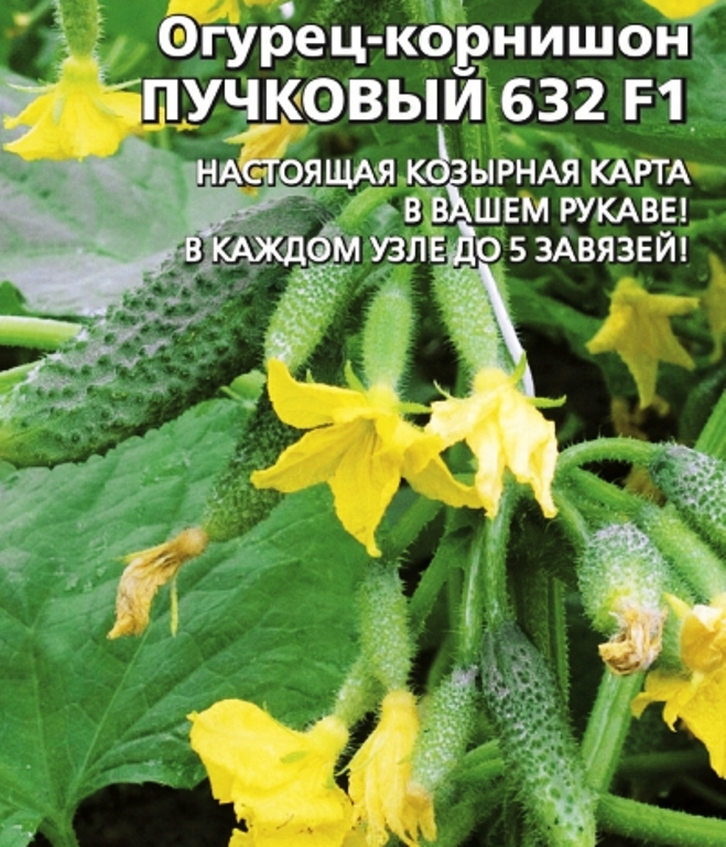 Купить Семена Пучковых Огурцов