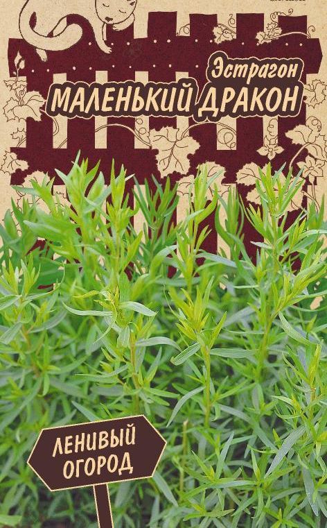 Эстрагон Маленький дракон