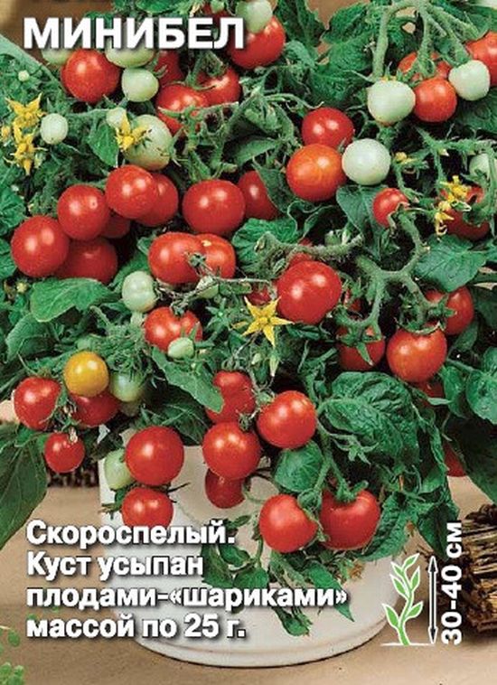 Томат Минибел