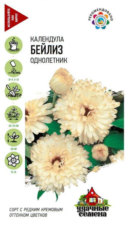 Календула Бейлиз