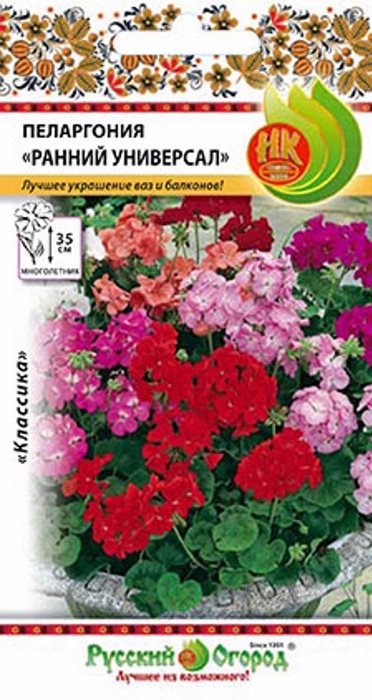 Пеларгония Ранний универсал: описание сорта, характеристики, посадка и уход, отзывы
