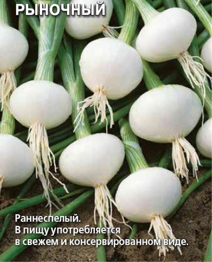 Семена Седек Купить В Спб