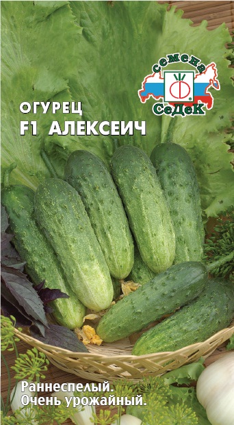 

огурец f1 алексеич семена, огурец f1 алексеич семена купить