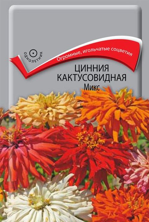 Цинния кактусовидная Микс