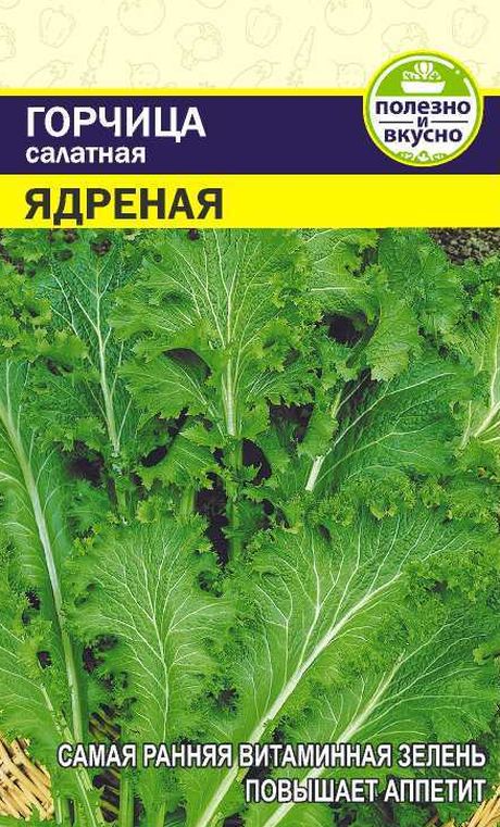 Горчица Ядреная