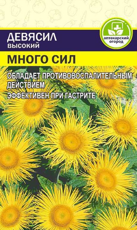 Девясил Много сил