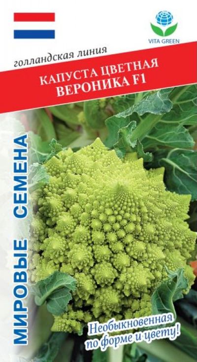 

капуста цветная вероника f1 семена, капуста цветная вероника f1 семена купить