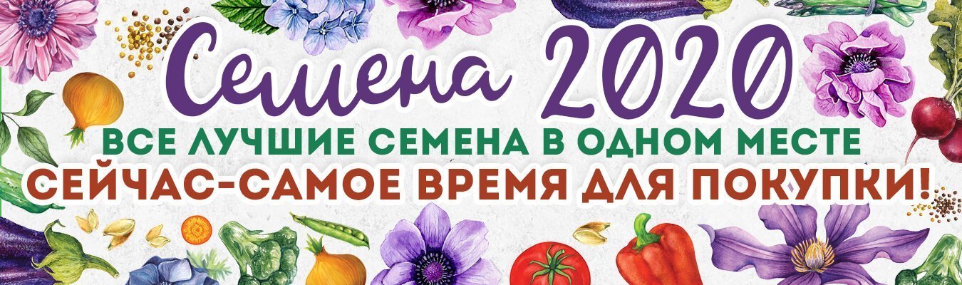 Интернет Магазин Фирмы Аэлита Официальный Сайт Интернет Магазин Фирмы Аэлита Официальный Сайт