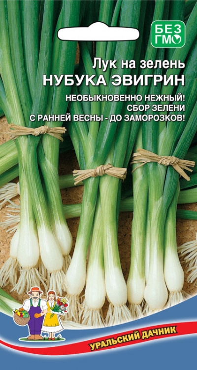 Лук на зелень Нубука Эвигрин