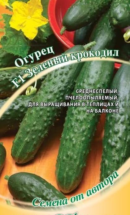 Огурец Зеленый крокодил описание и характеристики сорта, фото, отзывы