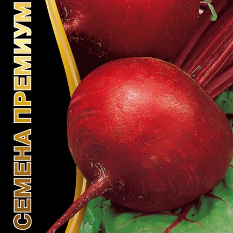 Купить Семена Свеклы Рафинад