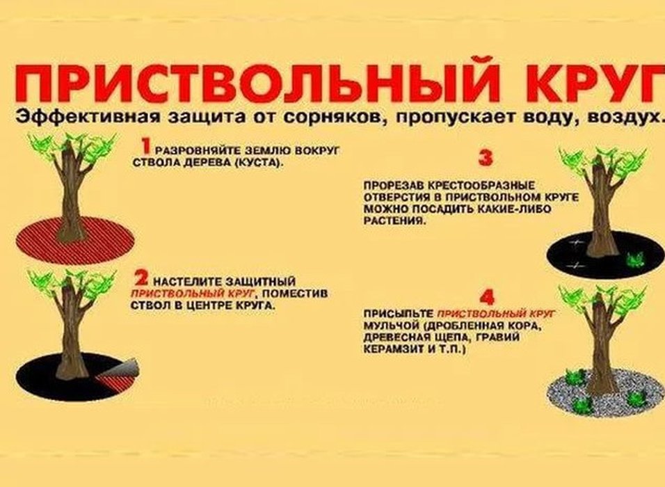 

Круг приствольный 65 см.