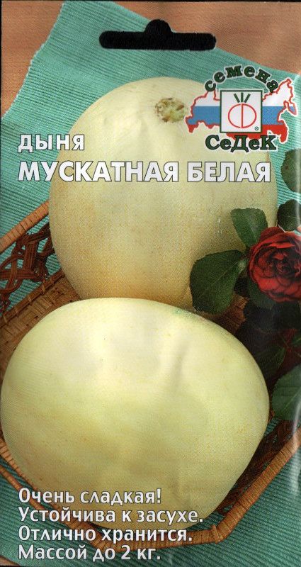 Семена Дыня Мускатная белая: описание сорта, фото - купить с доставкой илипочтой России