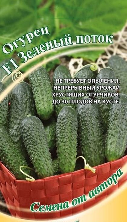 

огурец зеленый поток f1 семена, огурец зеленый поток f1 семена купить
