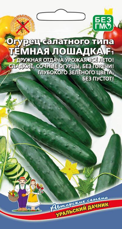 Огурец Темная лошадка F1
