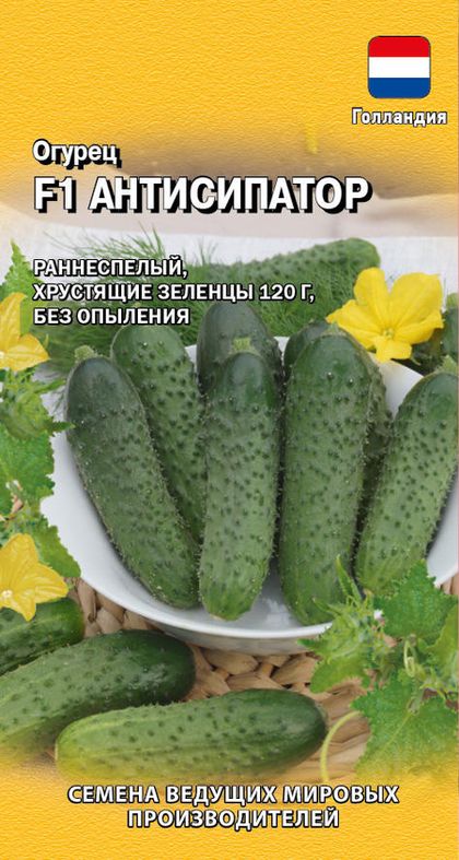 Огурец Антисипатор F1