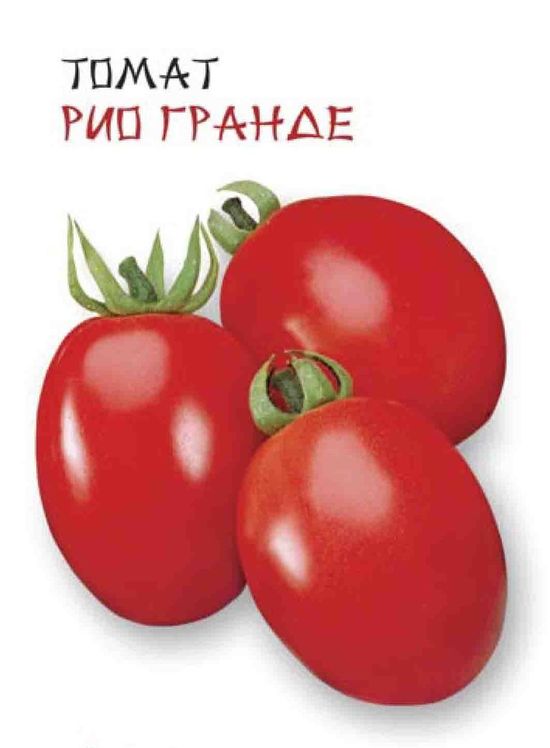 

томат рио гранде семена, томат рио гранде семена купить