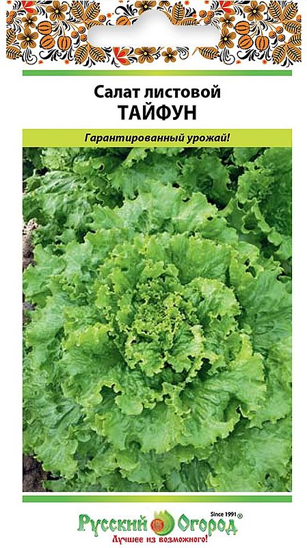 

салат листовой тайфун семена, салат листовой тайфун семена купить