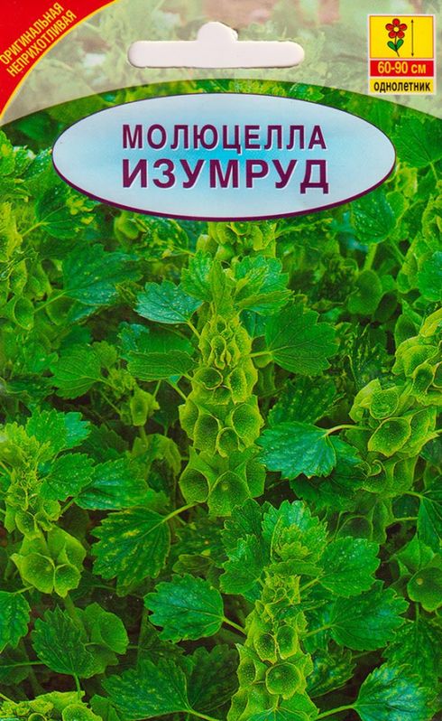 

молюцелла изумруд семена, молюцелла изумруд семена купить