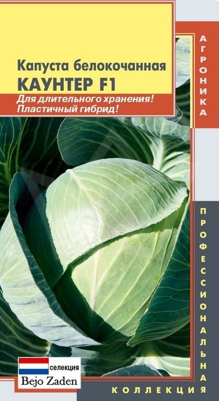 

капуста б/к f1 каунтер семена, капуста б/к f1 каунтер семена купить