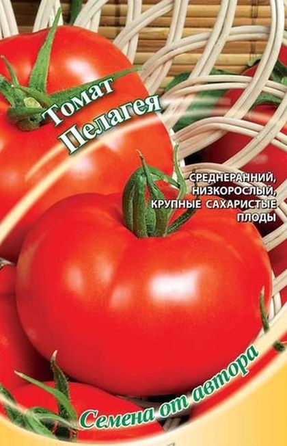 

томат пелагея, большая крупнопл. семена, томат пелагея, большая крупнопл. семена купить